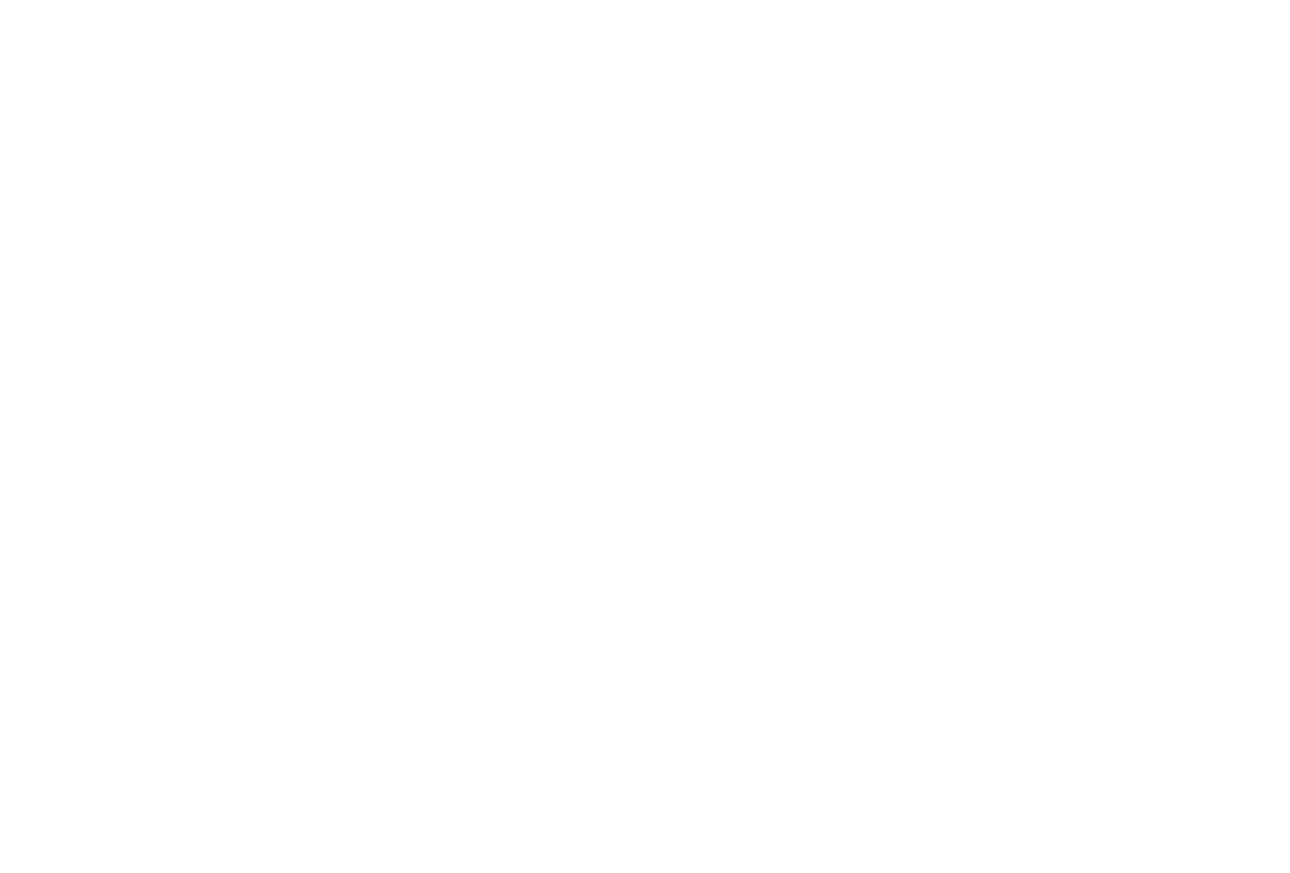 Steadfast Business Solutions White Secondary Logo
