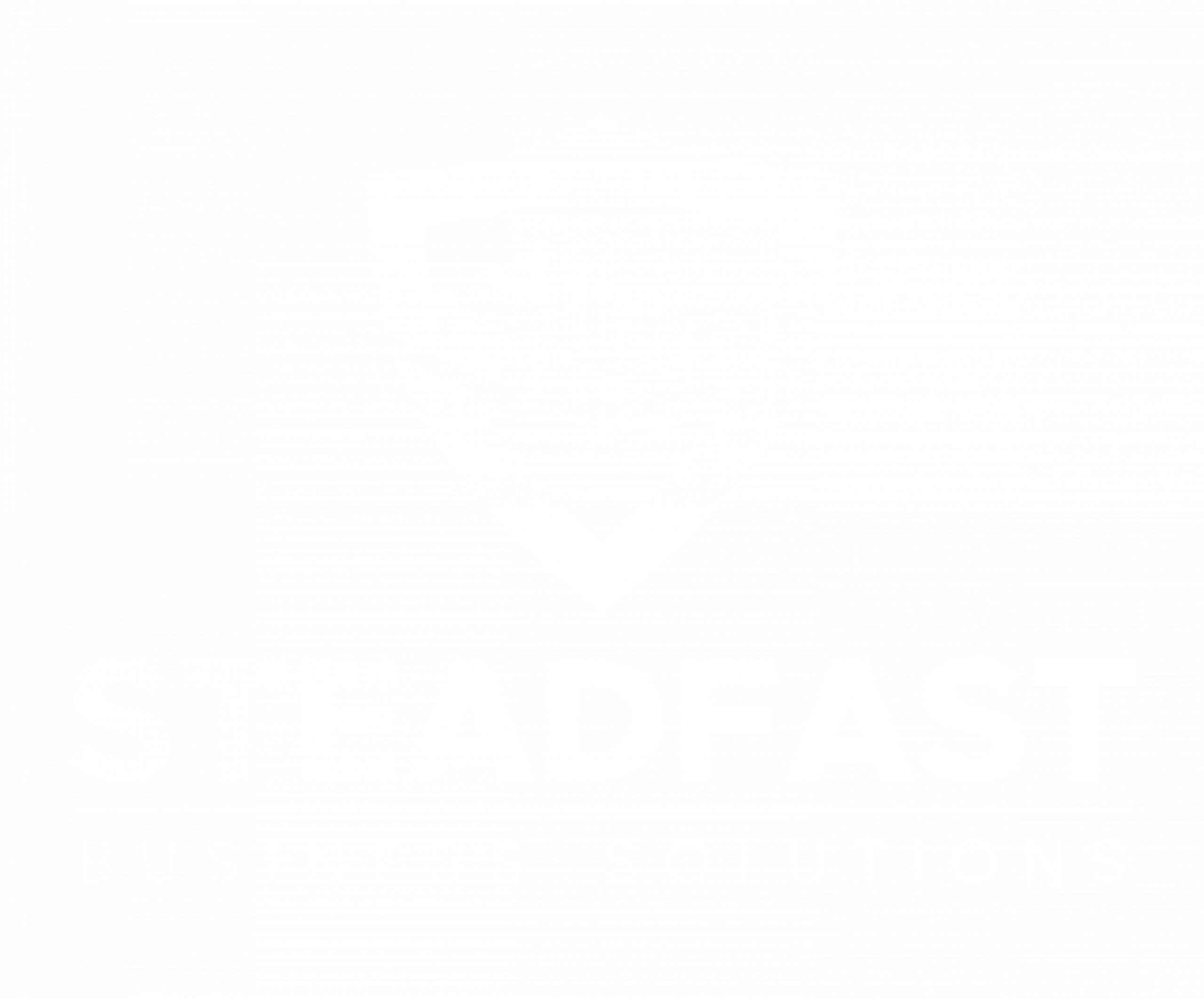 Steadfast Business Solutions White Secondary Logo